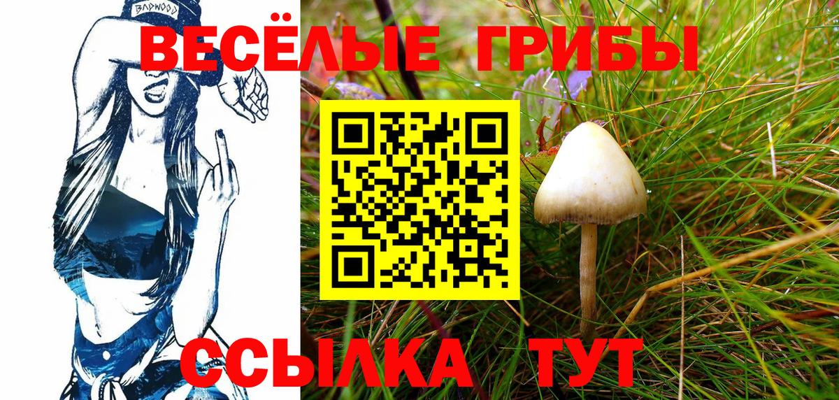Астрахань  Псилоцибиновые грибы Cubensis  Вход с VPN 